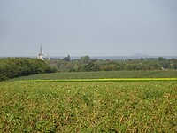 Mooi uitzicht
