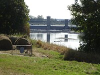 De Maas