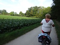 Op de fiets naar Meerssen
