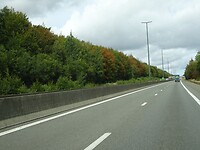 De bomen beginnen al te verkleuren