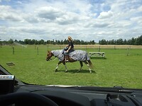 De eigenaresse met het paard dat 14 dagen drachtig is