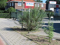 Het is al 26 graden!