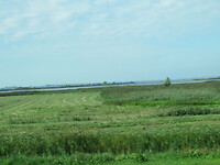 Het Zwarte Water