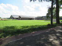 Veel grote boerderijen