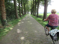 Een hobbelweg!