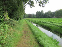 Hondenuitlaatlaantje