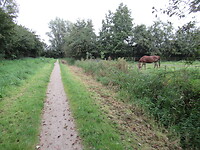 Mooie paadjes