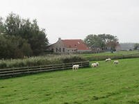 Fred zijn prachtige huis
