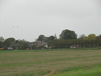 Metsjawier