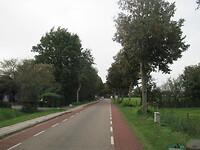 Komen in Hasselt