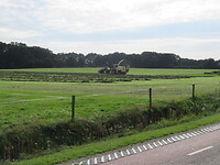 Even het gras oprapen!
