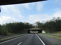 Een Ecoduct