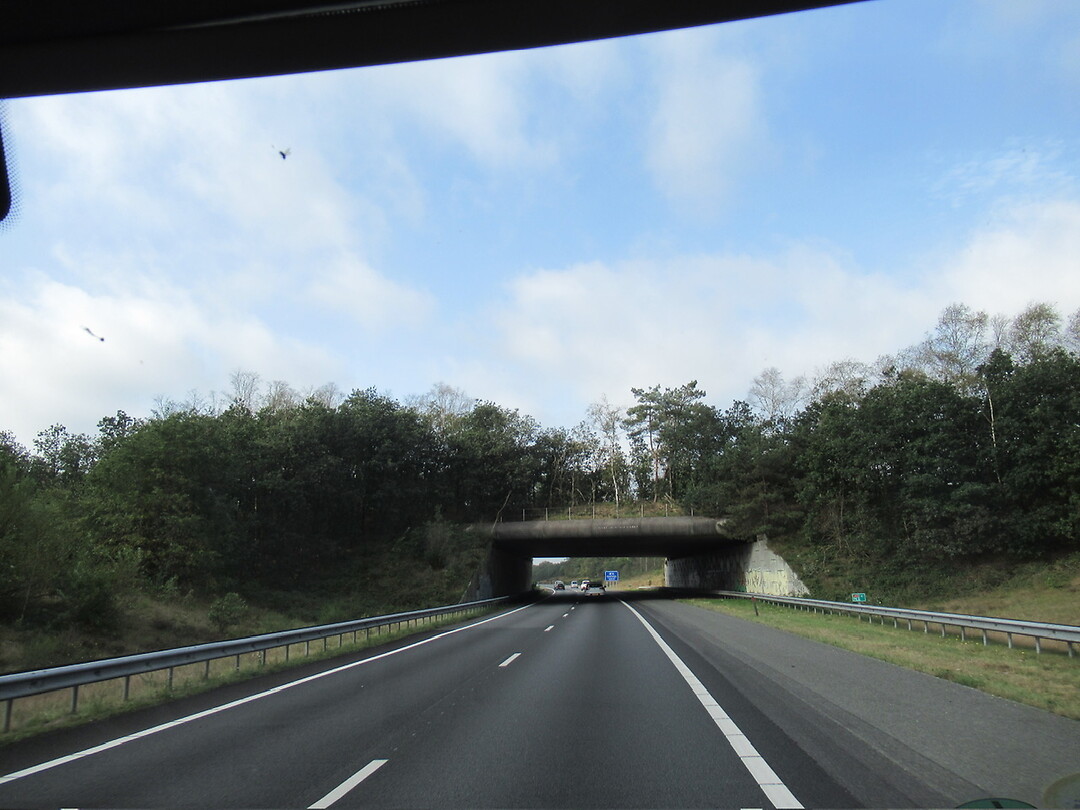 Een Ecoduct