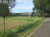 Ook hier veel met riet bedekt