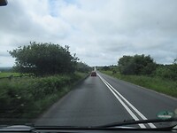 Veel heggen langs de A386