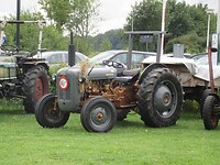 De goudbuik die mijn vader ook in 1954 gekocht had