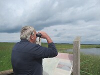 Geen vogel te zien
