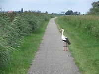 Later zat hij nogmaals op het fietspad