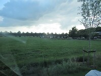 De koeien gaan naar buiten