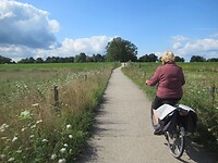 Door de uiterwaarden