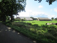Ook veel boerderijen