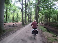 Zandpaden