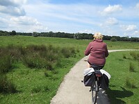 Door de uiterwaarden van de Vecht