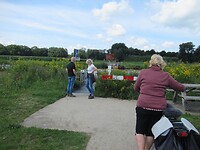 Naar het pontje