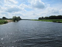 De Vecht is best breed