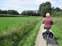 Richting de dijk
