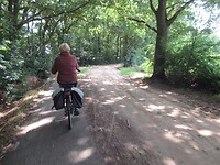 Nog een stukje door het bos