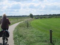 Die zitten rustig aan de Vecht