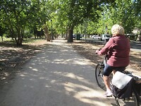 Op de fiets naar de stad