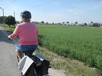 Op de fiets naar Catral