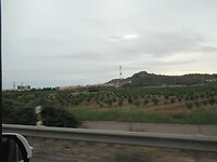 Fruitbomen
