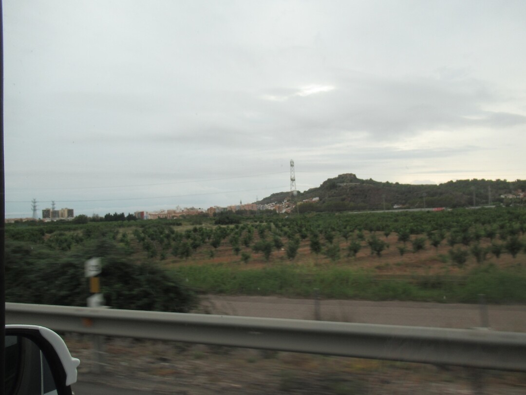Fruitbomen