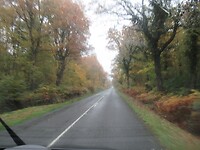 Herfstkleuren
