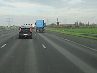 Molentje bij Mijdrecht