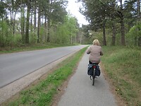 We gaan naar het centrum