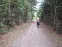 Door het bos