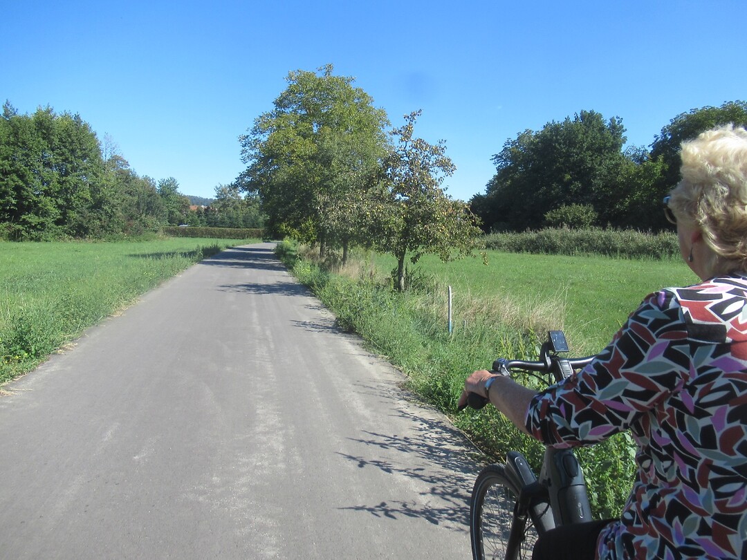 Heel veel fruit langs het fietspad