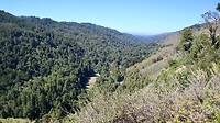 IMG_4146