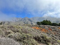 IMG_9399
