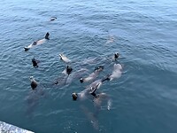 IMG_9429