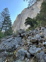 IMG_3521