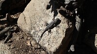 IMG_4324