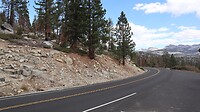 IMG_4345