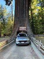 IMG_3599