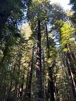 IMG_3639