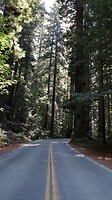 IMG_4364